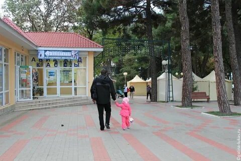 Лагерь медвежонок