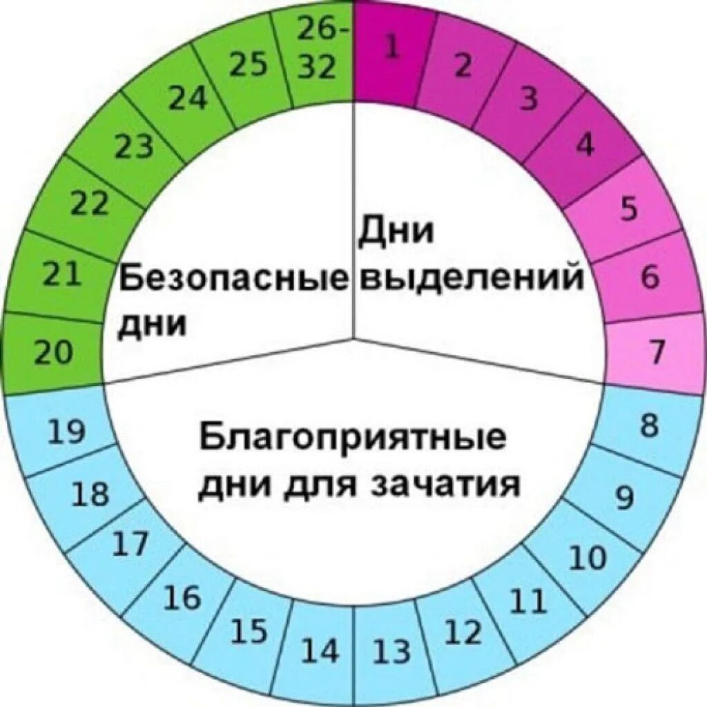 Сколько дней должны начаться месячные
