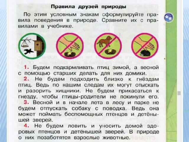 Условные знаки правила друзей природы. Правила защиты природы 2 класс. Составить правила друзей природы. Сформулируйте правило к условным знакам. Сформулируйте правила к условным знакам