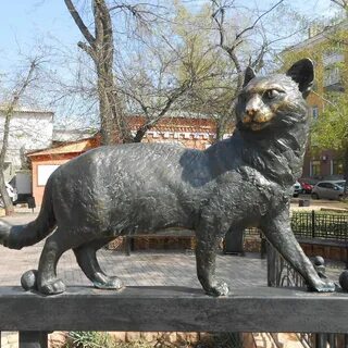 Сат иркутск