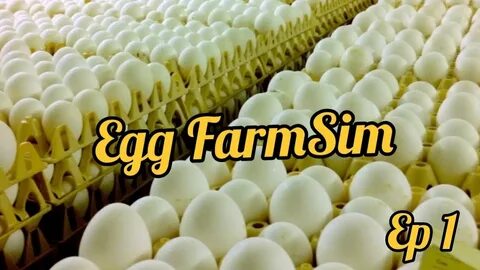 Egg farm