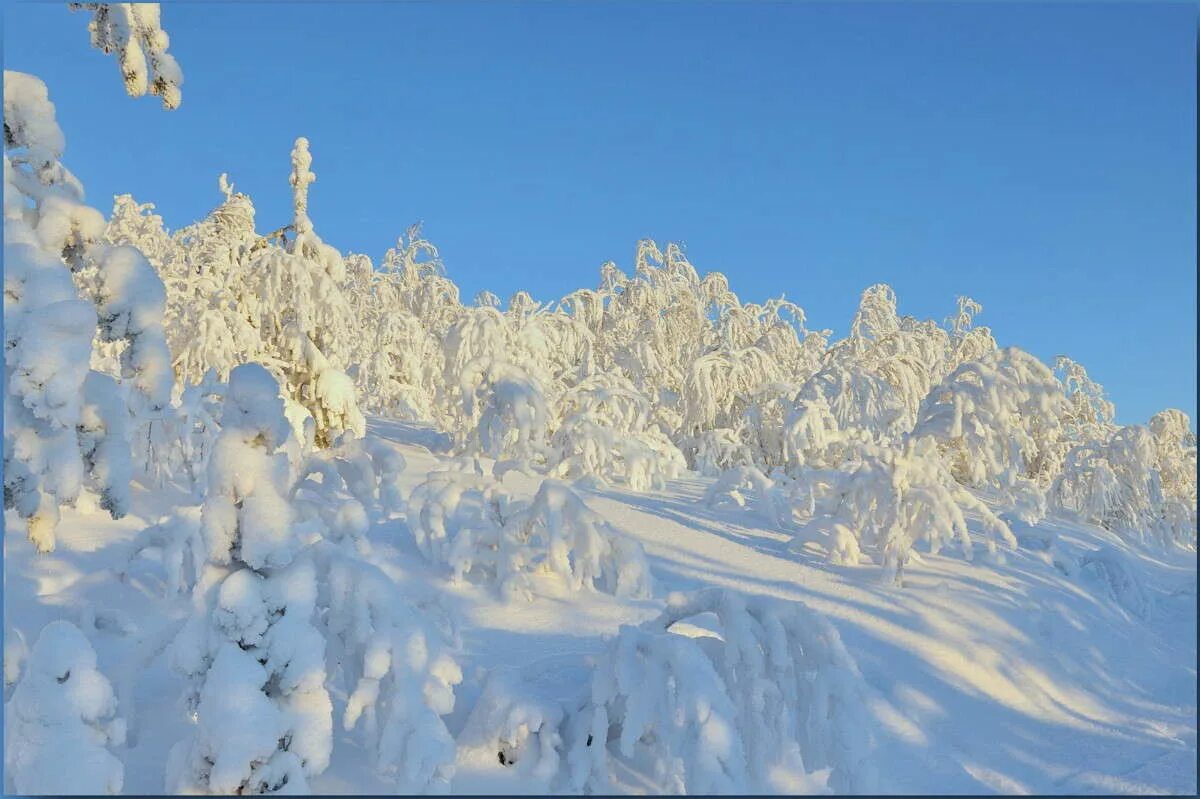 сугробы на севере. полюс холода в россии оймякон. мурманск кольский полуостров зимой. оймякон -50. паанаярви национальный парк в карелии зима.
