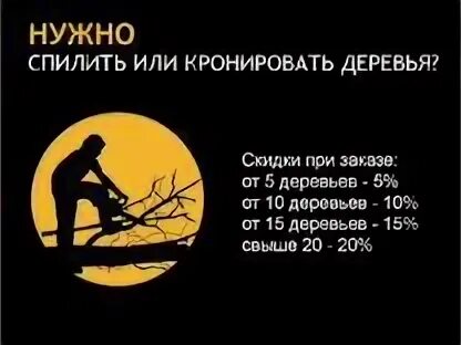 Правила кронирования деревьев. Спил деревьев реклама. спил деревьев визитка. спил деревьев реклама на авто. спил деревьев объявление.