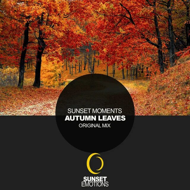 Autumn leaves jazz standard. Roger williams - autumn leaves. Fariborz lachini. Клен красный. Autumn leaves mp3.