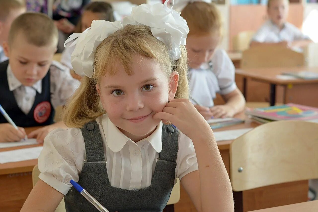 2 5 всех учащихся девочки