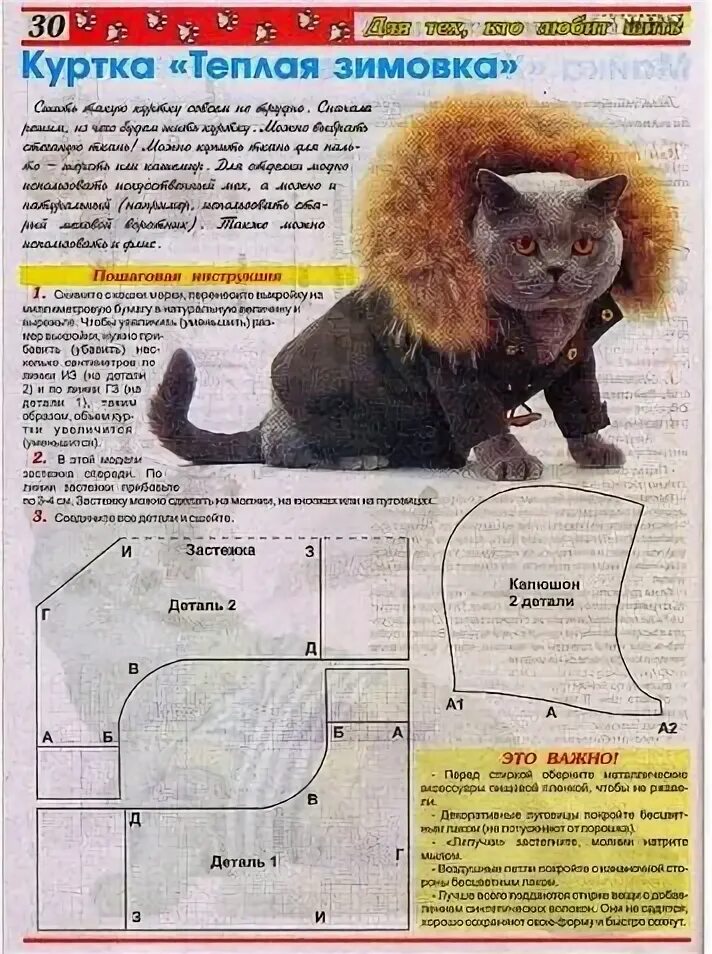 Построение индивидуальной выкройки для собаки (вариант № 2) Собаки, Выкройки и К
