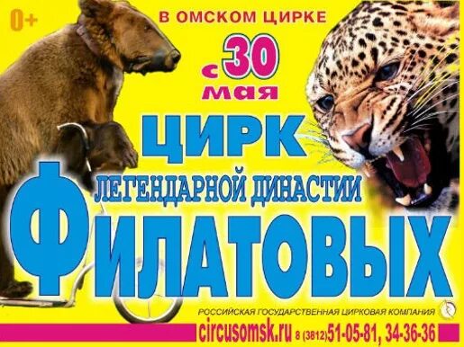 Цирк в индии. Омский государственный цирк омск. Артисты омского цирка. Цирк омск арена. Омский цирк афиша.