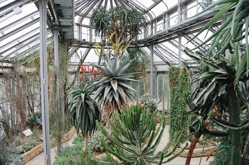 Fichier:Montreal Botanical Garden April 2017 008.jpg - Wikipédia