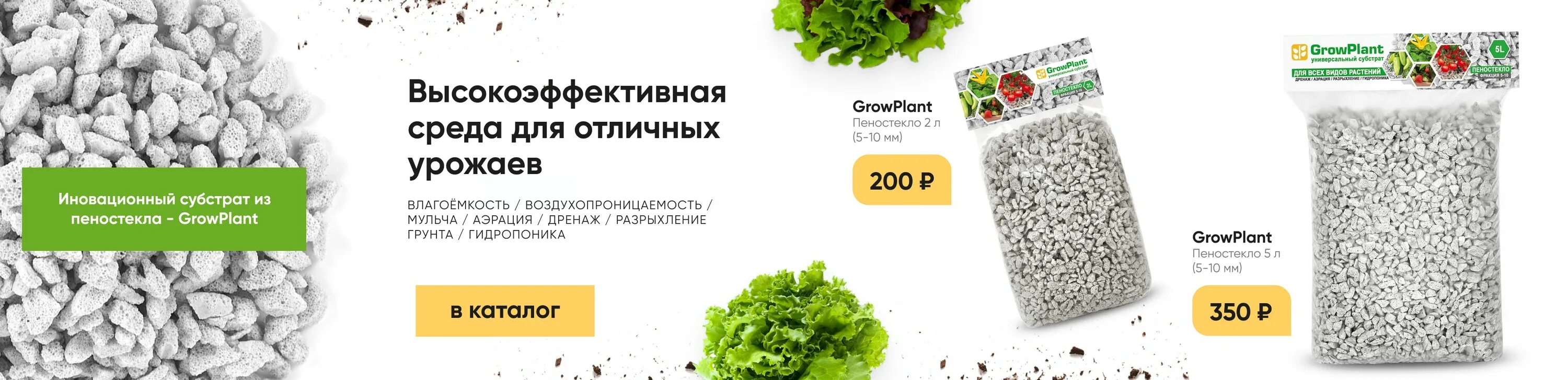 Русские семена интернет магазин семена почтой. Русские семена интернет магазин каталог 2022. Распродажа семян.