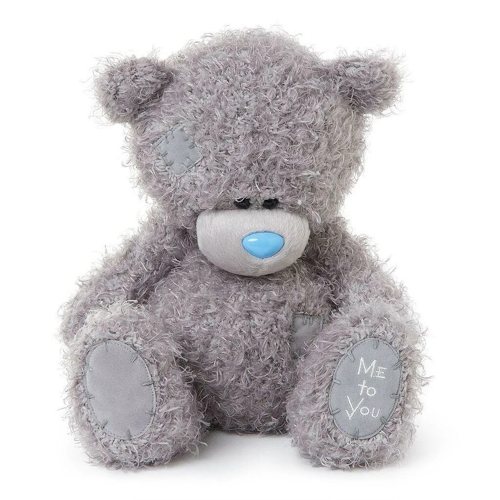 Tatty Teddy игрушка. Игрушка мишка Тедди me to you. Мишка Тедди me to you 20 см. Тедди Беар серый.