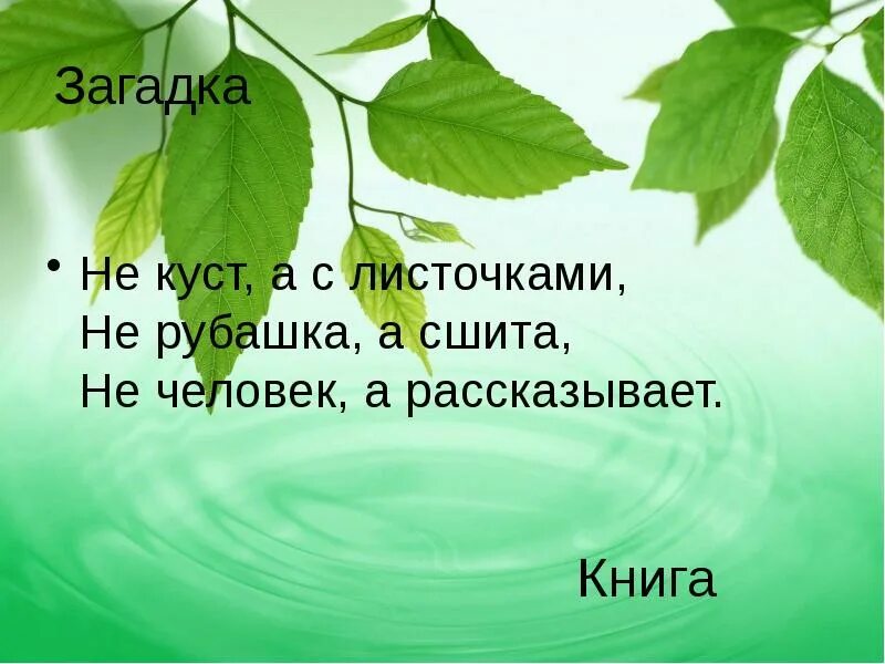 Не куст а