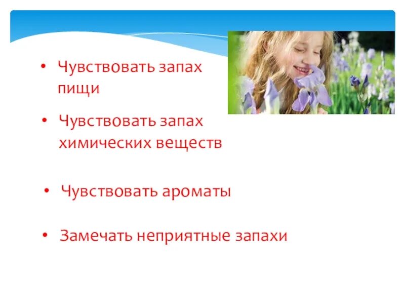 Запах слышат или чувствуют как правильно говорить. Запах. Чувство запаха. Почувствовать запах. Уловить запах.