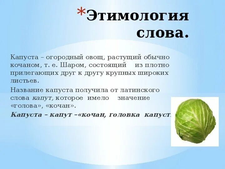 Называть этимология слова. Расскажите о капусте. Рассказ о капусте. Этимология слова капуста. Сообщение о капусте.