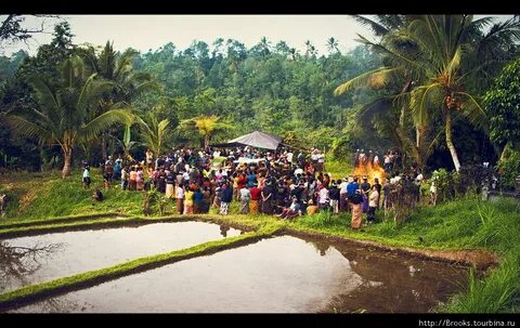 Bali video