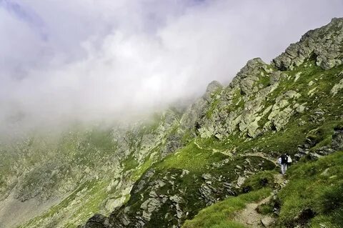 Mount path
