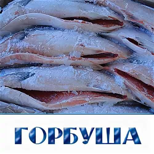 Дешевая рыба оптом москва