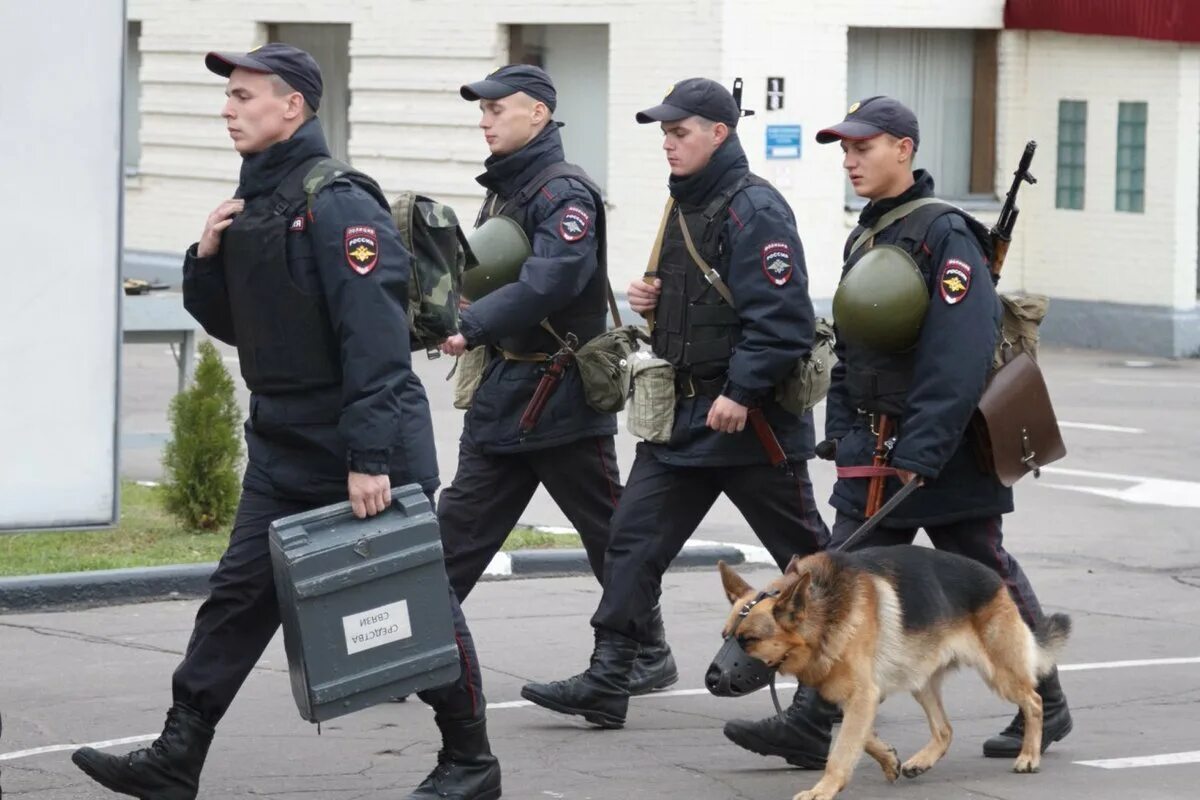 Полиция фото. Полиция защищает людей. Минирование полиция школа. Полиция в действии.