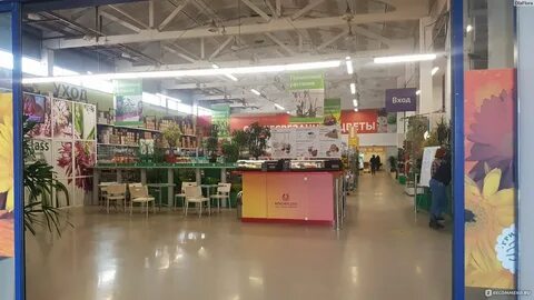 Гринвилль в новосибирске