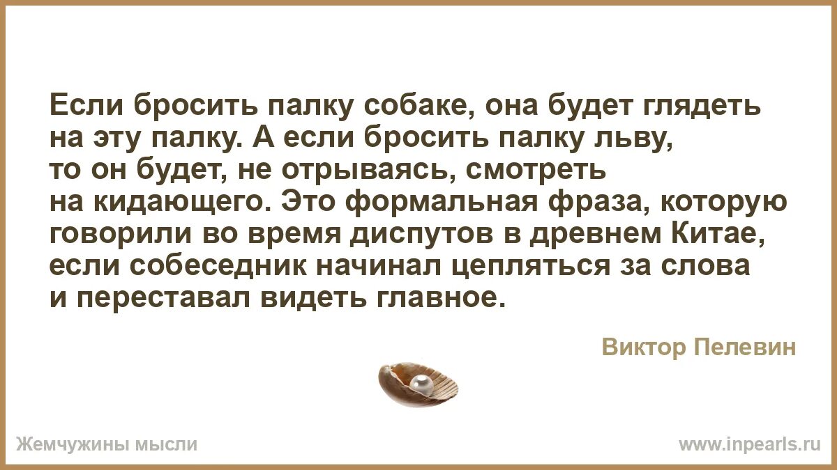 Кидала значение. Бросить палку. Бросает палку собаке. Что значит кидать палку.