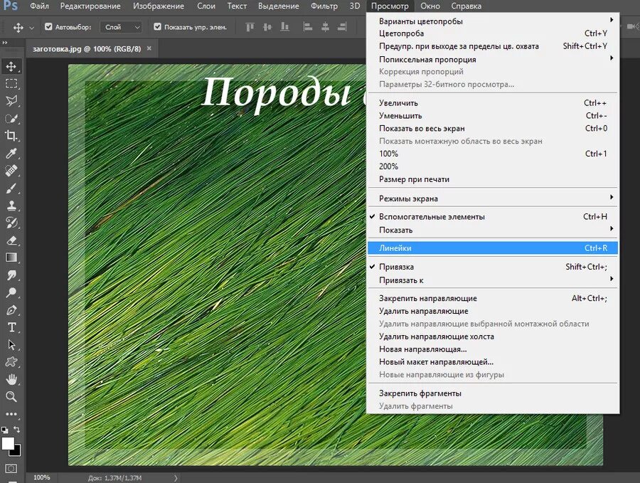 Макеты для фотошопа. Adobe photoshop прямоугольник. Как сделать направляющие в фотошопе. Паблишер макет страницы. Как настроить сетку в фотошопе.