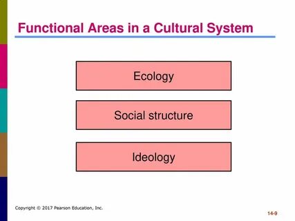 System culture