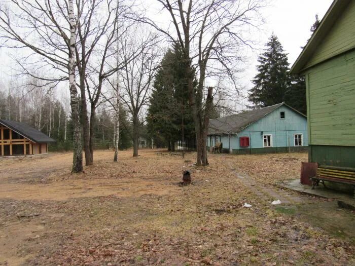 Сайт лагерь восток. Лагерь дол Восток Семеновский район. Лагерь Восток Нижегородская область. Пионерский лагерь Восток Нижегородская область. Лагерь Восток Нижний Новгород Семеновский район.