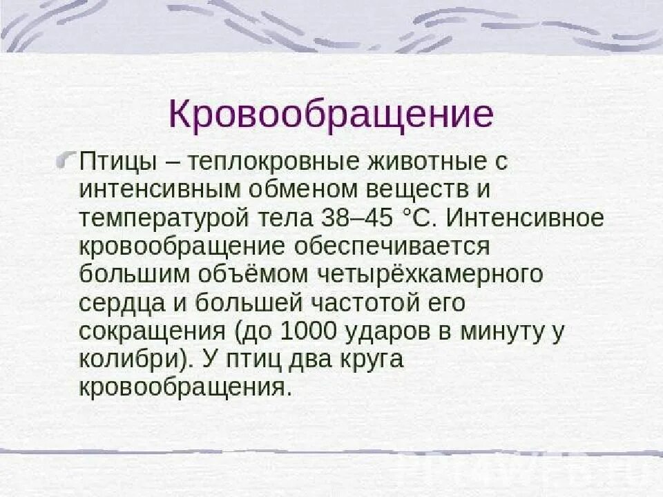 Причины теплокровности птиц. Теплокровные животные птицы. Почему птицы теплокровные животные. Почему птицы теплокровные.