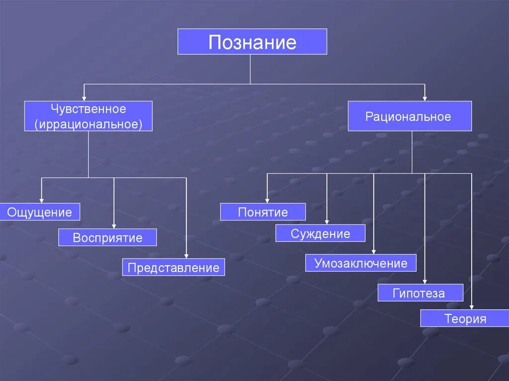 Основой познания является. Ощущение восприятие представление понятие суждение умозаключение. Ощущение восприятие представление. Познание ощущение восприятие представление. Ощущение представление суждение восприятие форма познания.