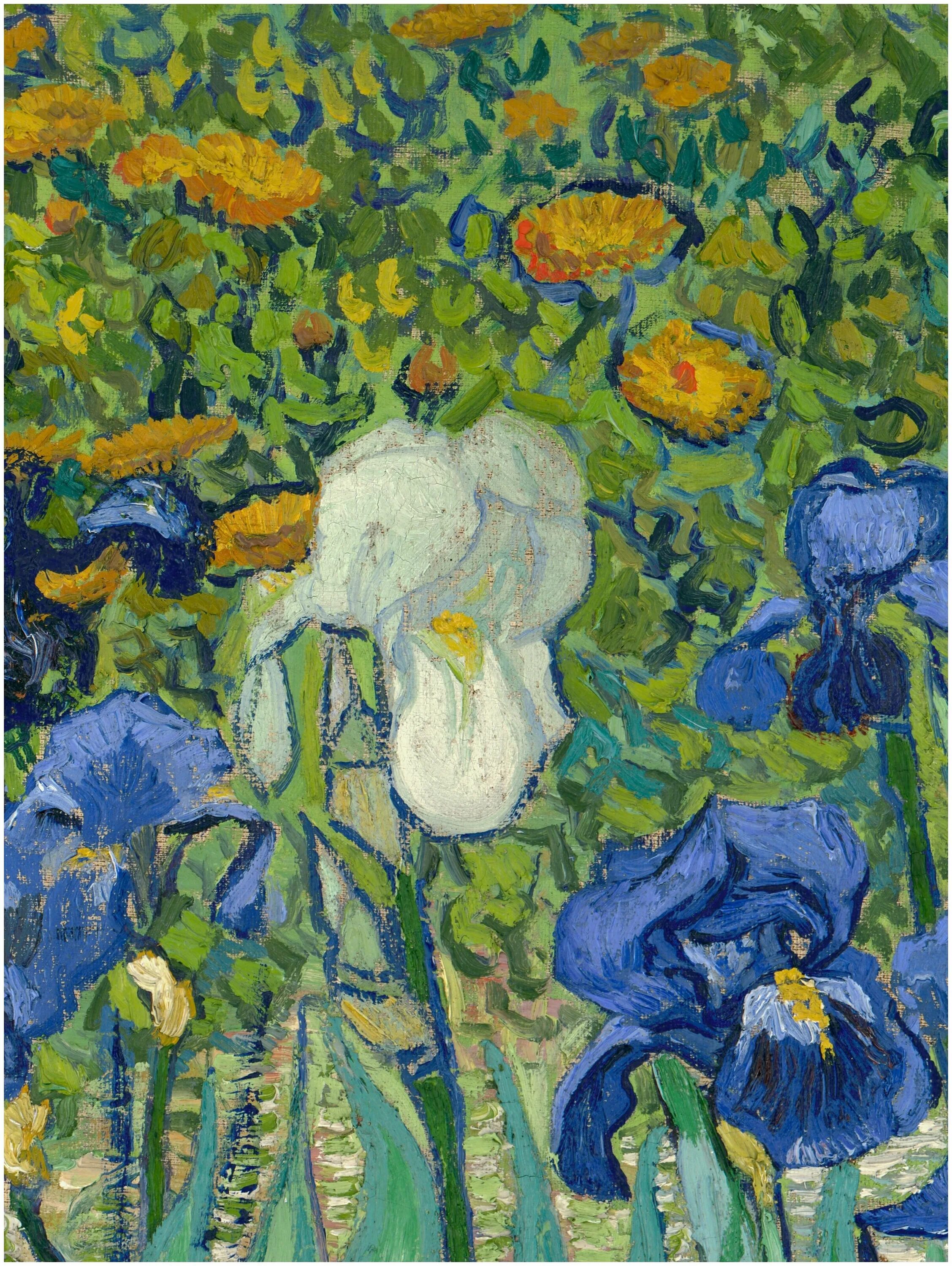 ван гог этюды. винсент ван гог "ирисы". ван гог валуны и дуб. поле у авьера ван гог. винсент ван гог валуны и дуб.