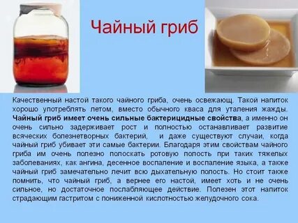 Чай гриб польза
