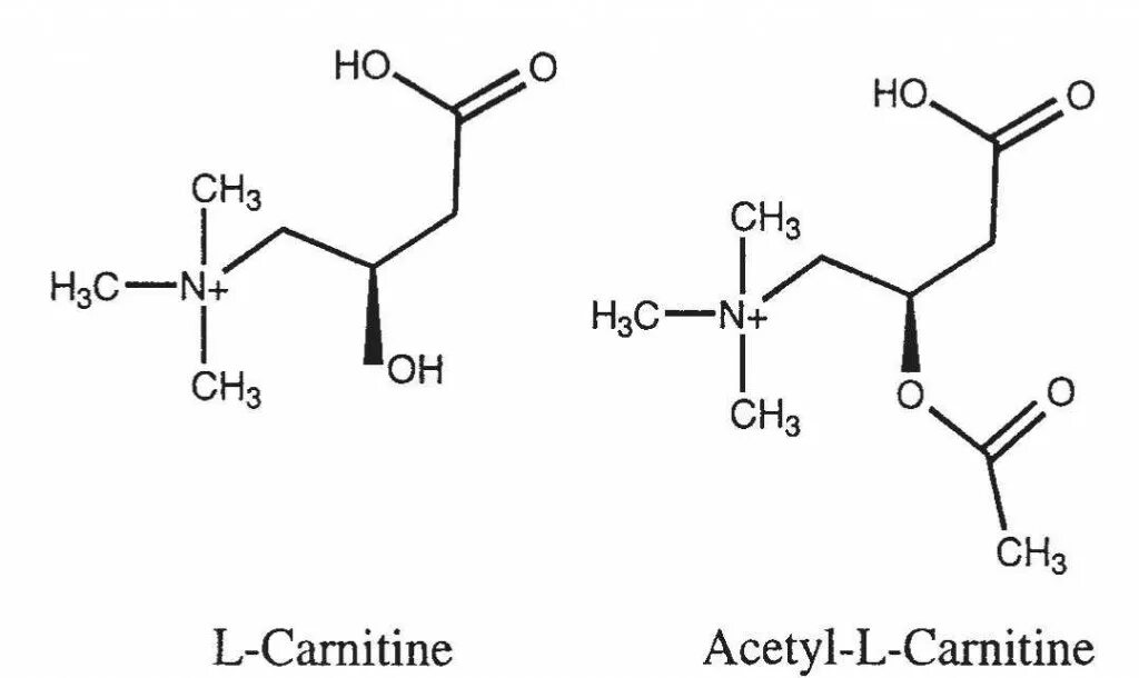 Карнитин функции в организме. Ultimate nutrition l-carnitine 500 состав. Ликвид хром. Ацетил карнитин. L карнитин аминокислота формула.