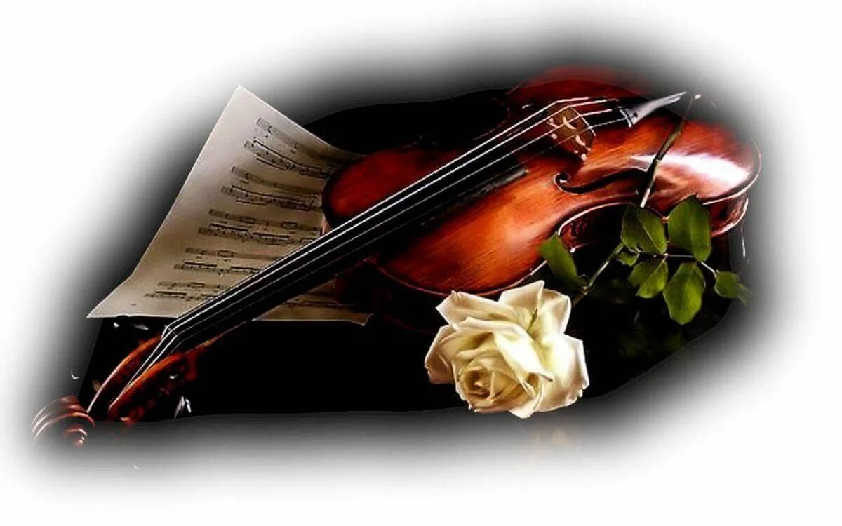 Мир музыки пусть. Скрипка. Красивая скрипка. Скрипка душа. Скрипка на красивом фоне.
