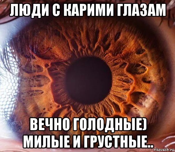 Эти глаза сводят с ума. Карий глаз прикол. Шутки про карие глаза. Карие глаза. Карие глаза Мем.