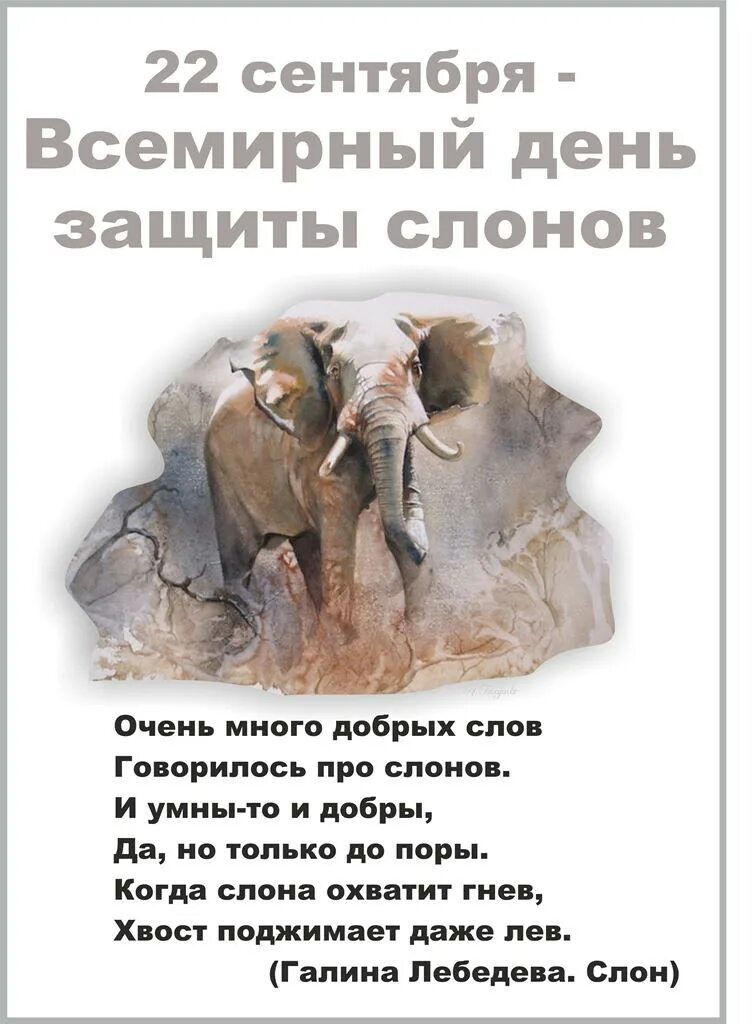 Праздник голубых слонов текст. День защиты слонов. всемирный день слонов. день защиты слонов 22 сентября. всемирный день слонов открытки.