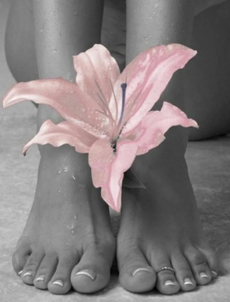 Женщина красота ног. Женщина красота ног. Beautiful woman legs. Гладкие ноги. Здоровые женские ноги.