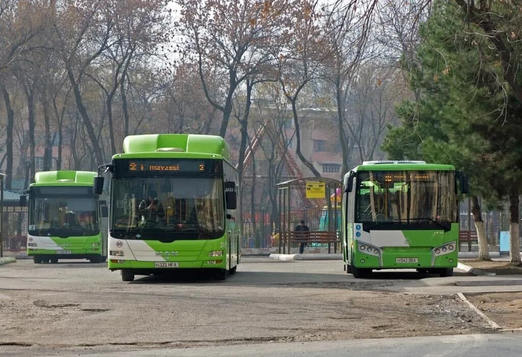 Ташкент транспортные. Ташкент автобусы ман. Ташкент транспорт. Общественный транспорт в Ташкенте. Новые автобусы в Ташкенте.