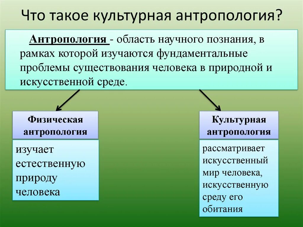 Антропотип это