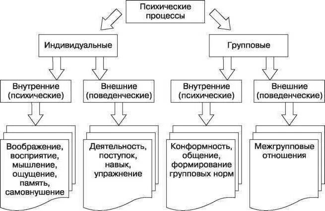 Память относится к психическим