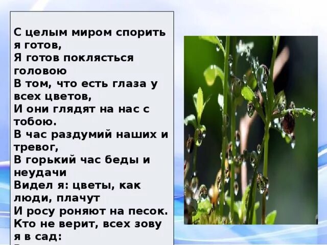 Стихи есть глаза у цветов. С целым миром спорить я готов. Стихотворение с целым миром спорить я готов. Стихи Расула Гамзатова с целым миром спорить я готов.