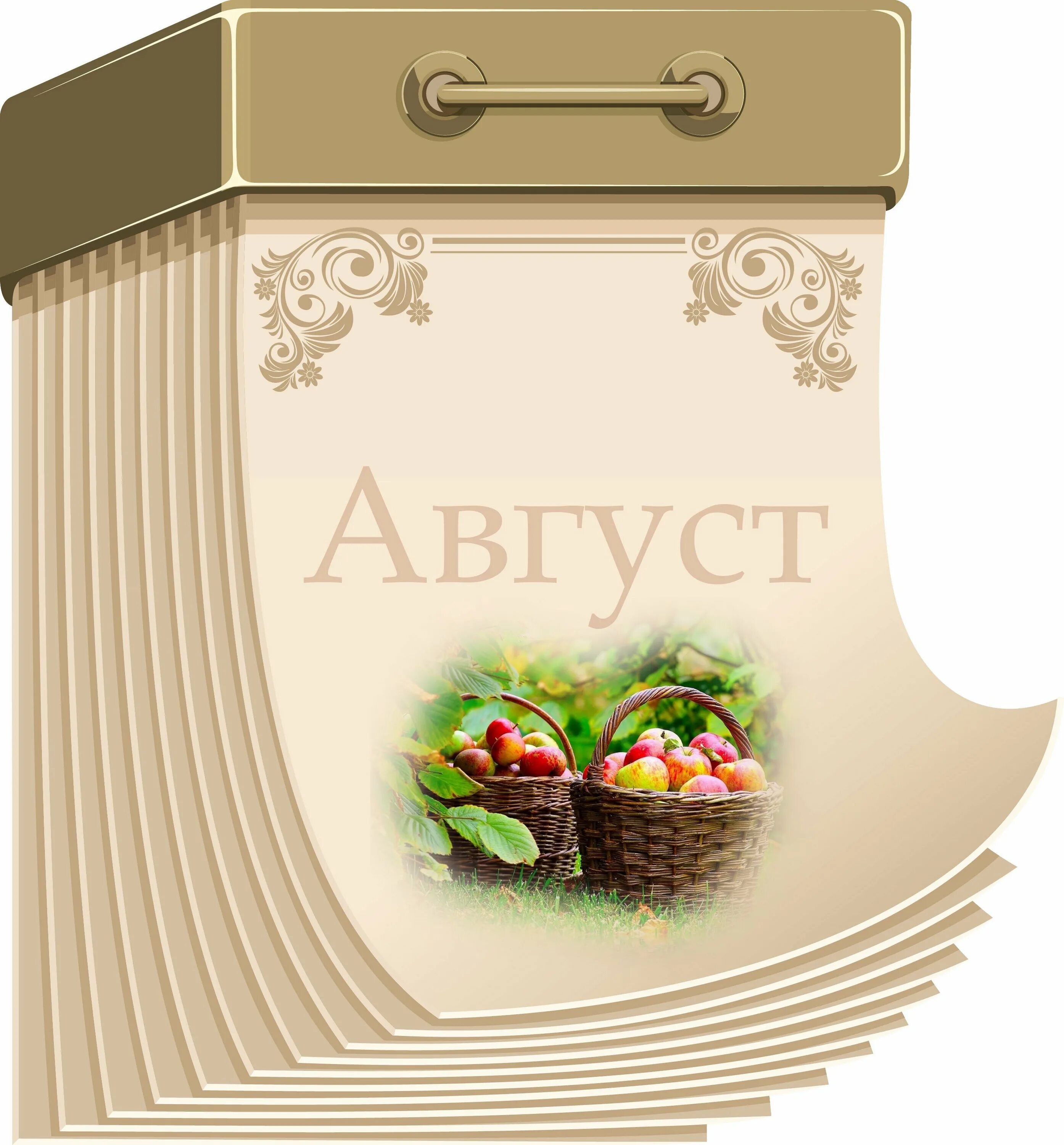 Как ясен август нежный и спокойный. Август открытки. Лист календаря. Открытки Здравствуй август. Открытки с 1 августа.