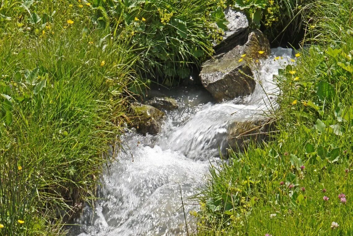 Родничок в лесу. Родник ручей река. Источник воды. Природный Родник. Родник у реки.