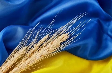 Украинское зерно
