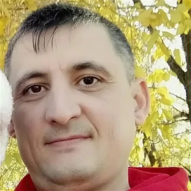 Садовник набережные челны. Питомник степной шахты поселок майский. Новый садовник набережные челны. Садовник набережные челны. Питомник саженцы набережные челны.
