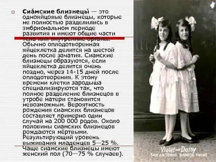 Сестры близнецы рассказ