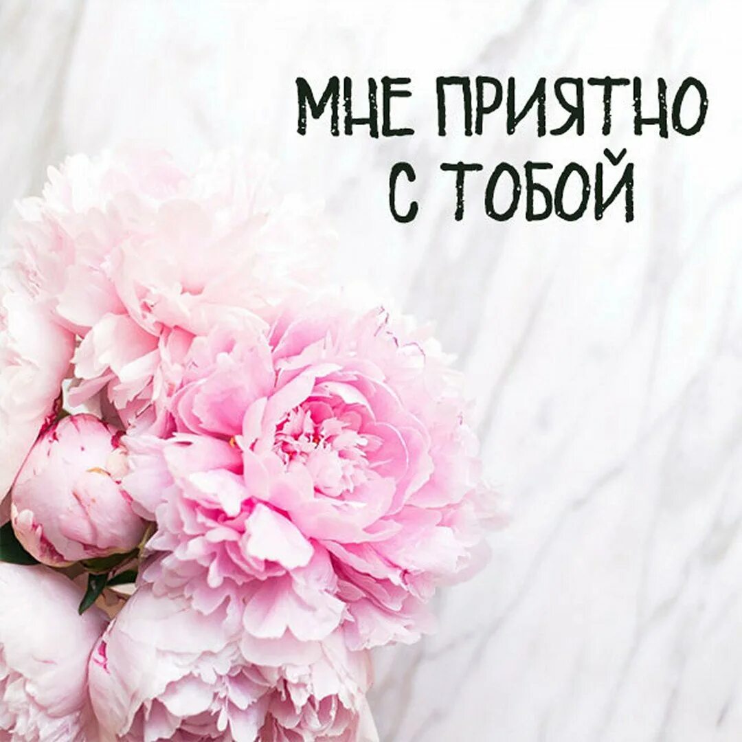 Мне приятно с тобой общаться. Мне приятно с тобой. Мне очень приятно с тобой общаться. Мне было очень приятно с тобой. Добрый день вспомнишь