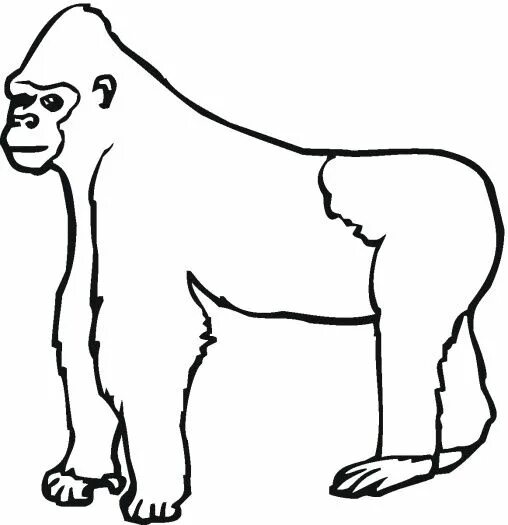 Горилла раскраска для детей распечатать Gorilla Coloring Pages