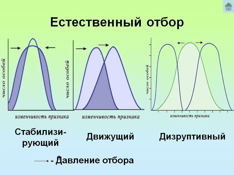 Среднее значение нормы реакции