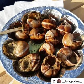 Улитка пришла в бар