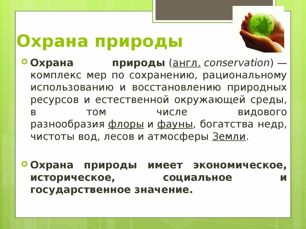 Охрана природы обязанность почему. Охрана природы презентация. Доклад по биологии охрана природы. Презентация по защите природы. Значение охраны природы.