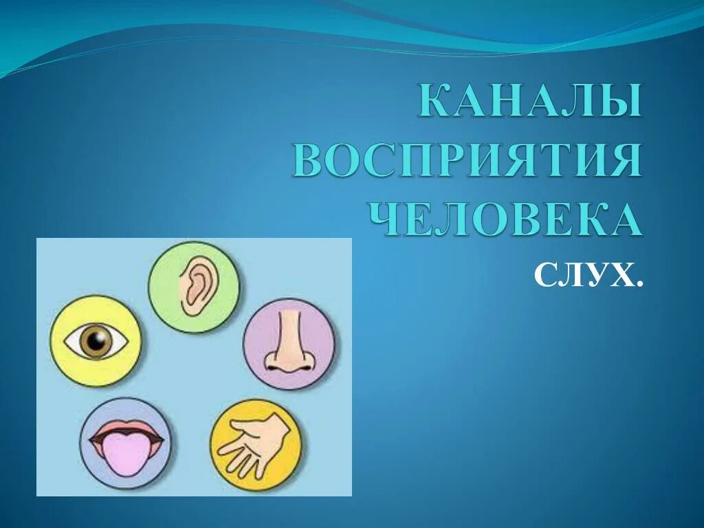 Каналы восприятия информации. Каналы восприятия человека. Каналы восприятия информации человеком. Каналы восприятия и информации человеком в технологий.